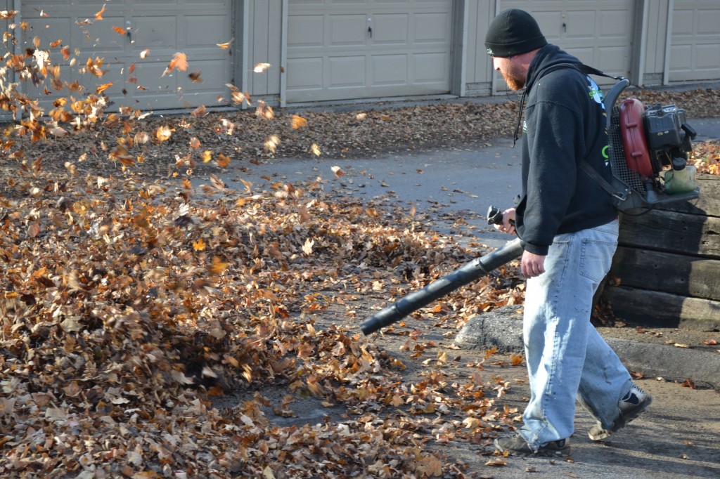 Cleaning Up Leaves