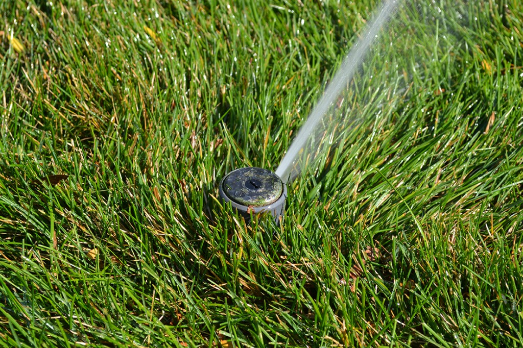 Irrigation Photo