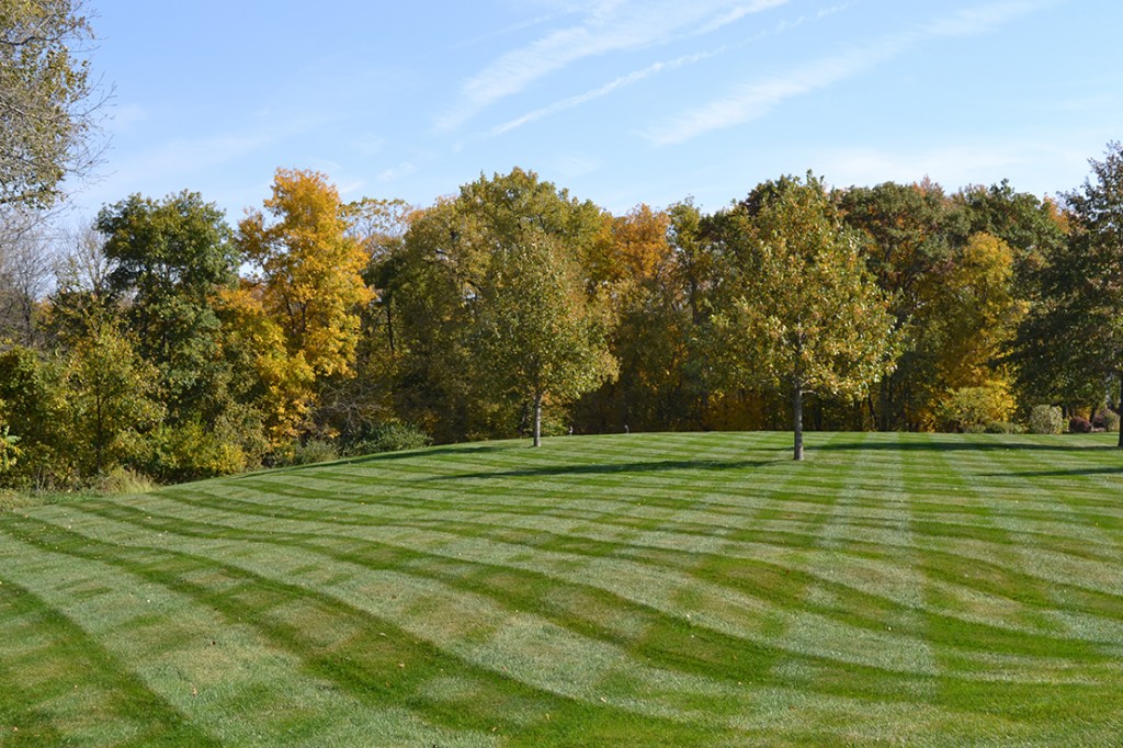 Fall Mowing Photo
