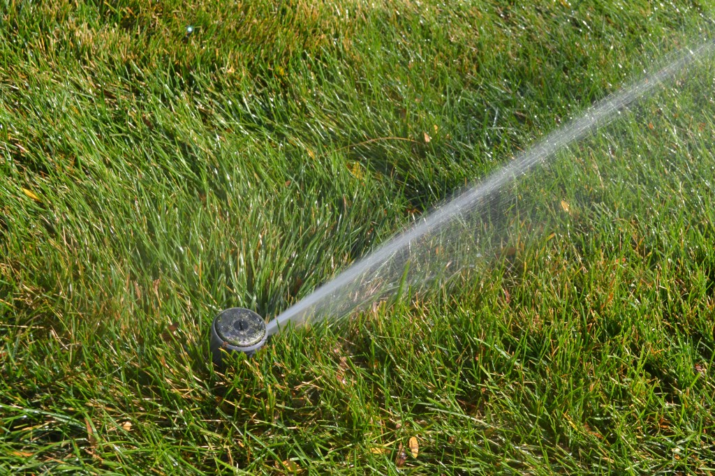 Turf Grass Water Requirements