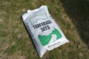 Grass Seed Bag