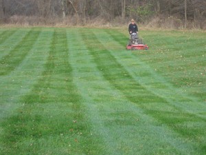 Mower Maintenance