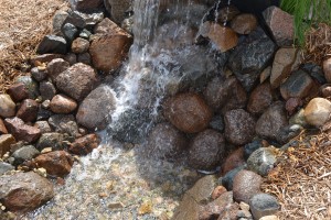 Water Feature Maintenance