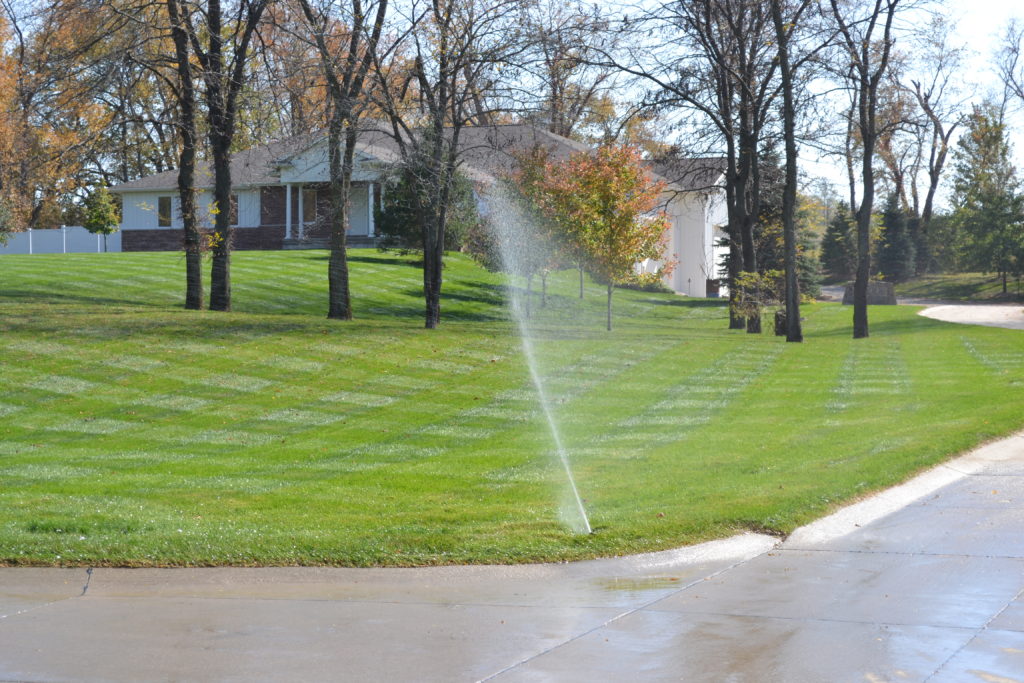 Rainbird Irrigation System Spraying - Green Thumb Advice