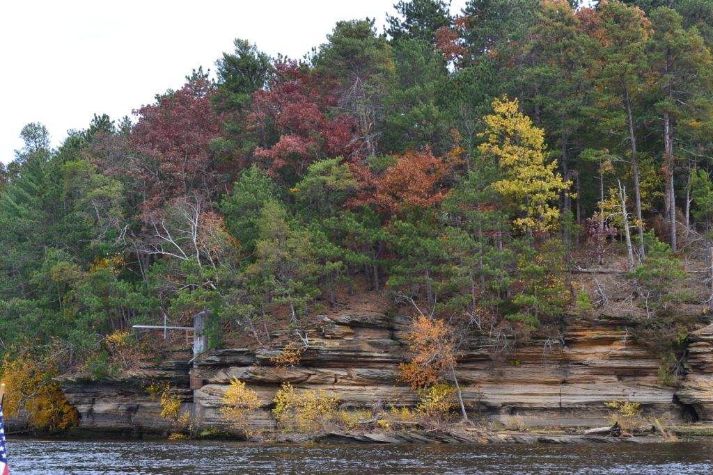 River with Fall Color - Green Thumb Advice